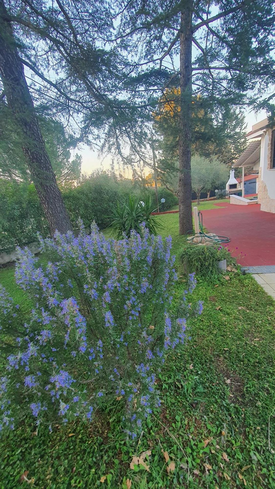 Mercadante - Luxury Holiday House Cassano delle Murge Extérieur photo