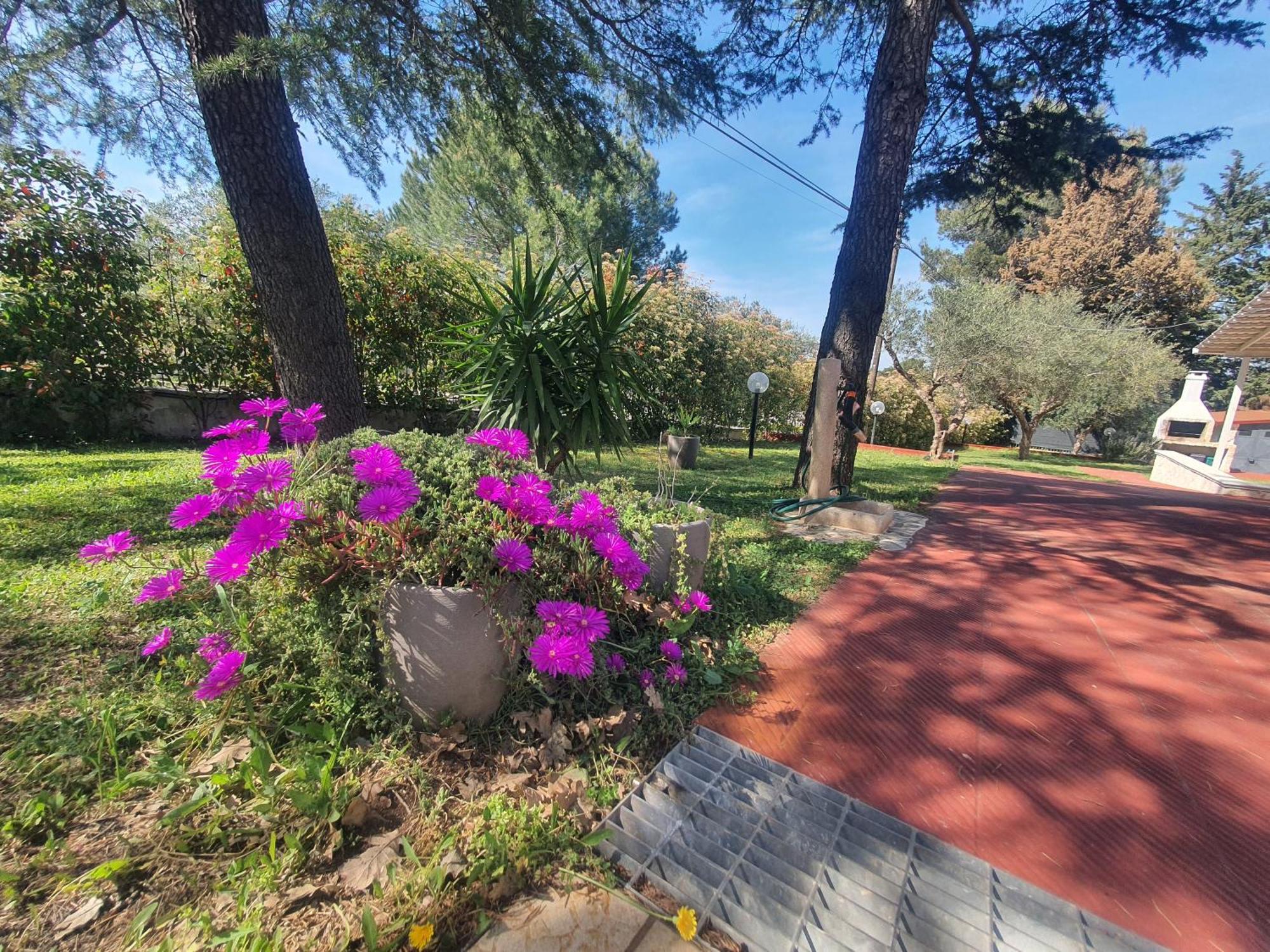Mercadante - Luxury Holiday House Cassano delle Murge Extérieur photo